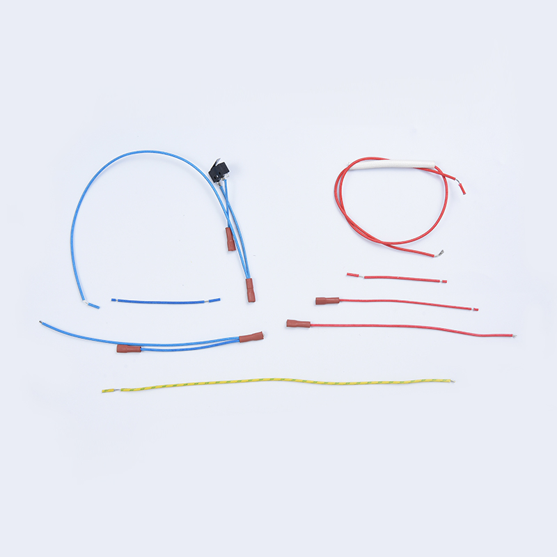 Garment Steamer Wiring Harness